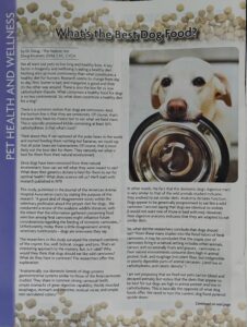 Pittsburgh Pet Connections Magazine Article: What's the Best Dog Food?